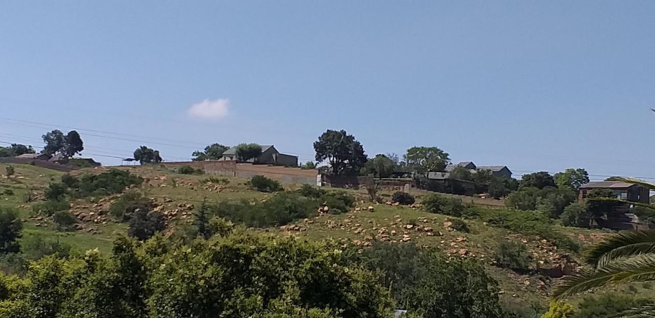 Agterplaas Guesthouse Pty Ltd Johannesburg Bagian luar foto